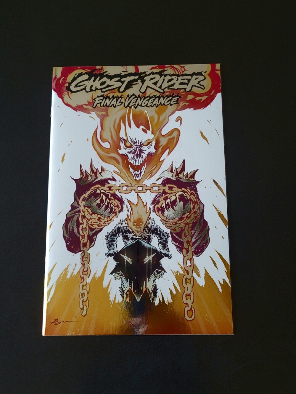 Ghost Rider: Final Vengeance #1 - Picture 2 of 8